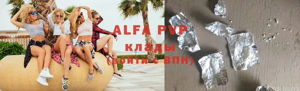 гидра Богданович