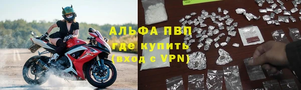 гидра Богданович
