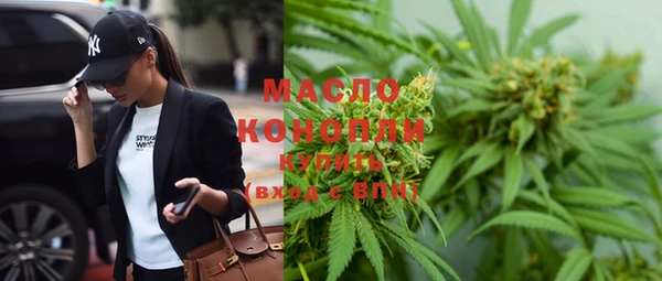 гидра Богданович