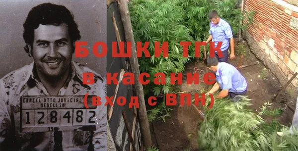 гидра Богданович