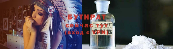гидра Богданович