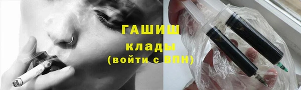 гидра Богданович