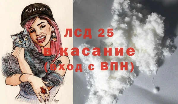 гидра Богданович