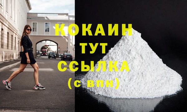 гидра Богданович