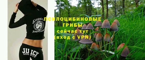 МДМА Богородицк