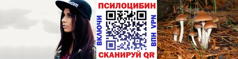 Галлюциногенные грибы мицелий  как найти закладки  Малоярославец 